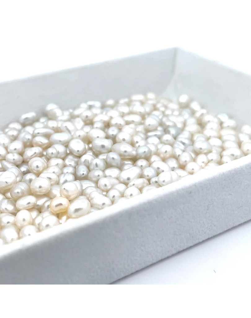 5-5.99mm South Sea pearl , origin Indonesia , fine  grade