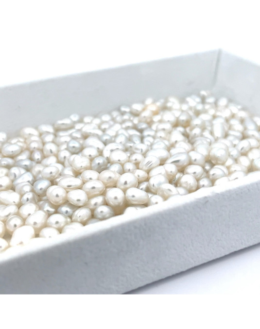 5-5.99mm South Sea pearl , origin Indonesia , fine  grade