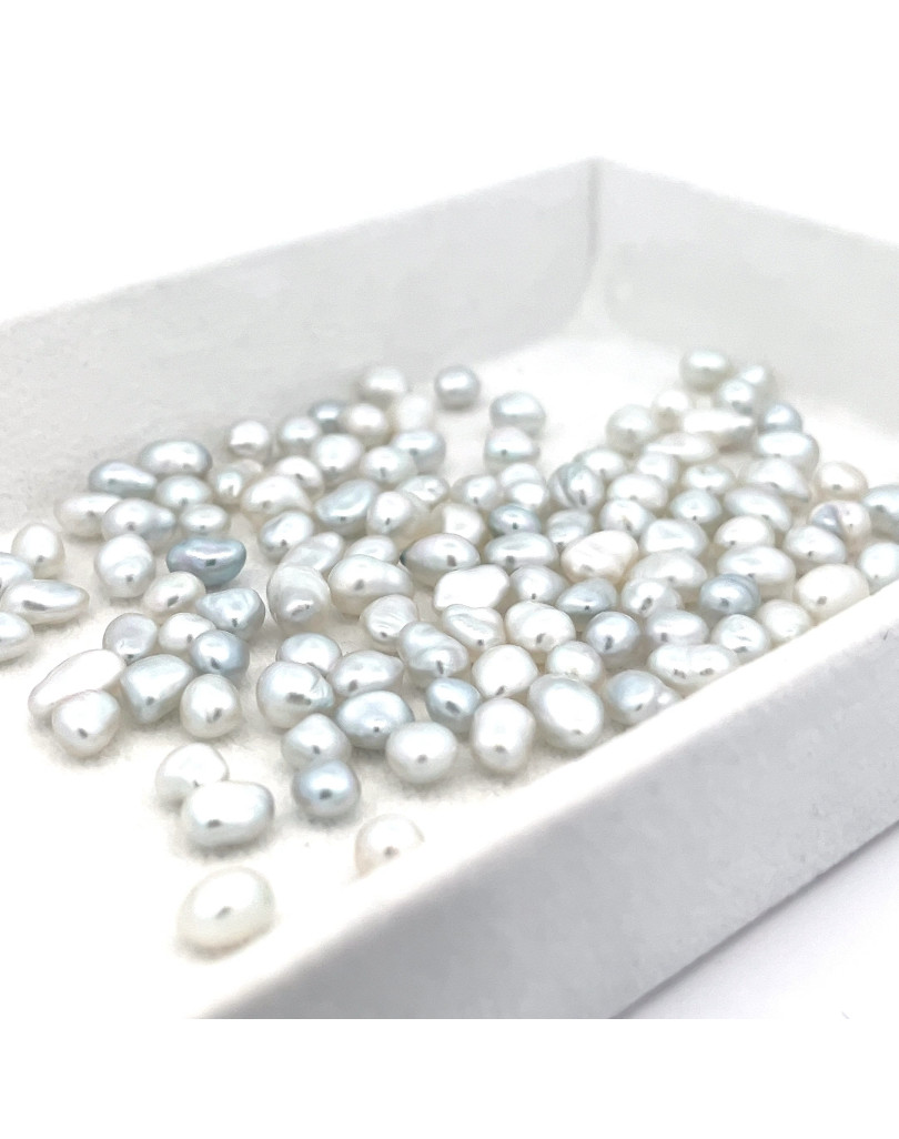 5-5.99mm South Sea pearl , origin Indonesia , fine  grade