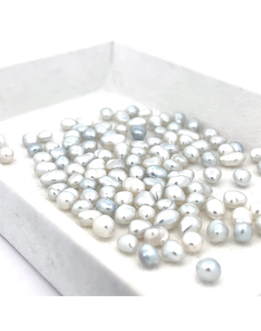 3mm+ fine  grade South Sea pearl, Indonesia