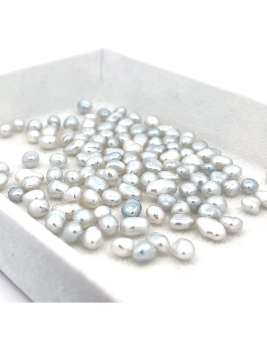5-5.99mm South Sea pearl , origin Indonesia , fine  grade