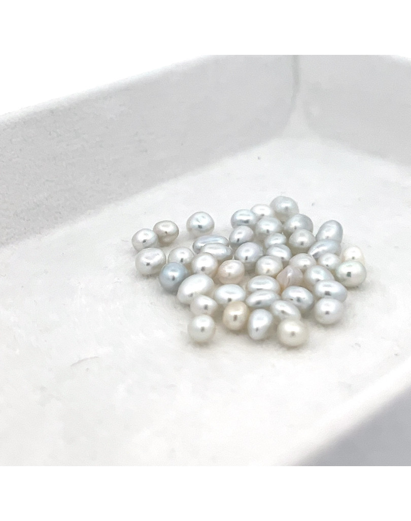 3mm+ gem  grade South Sea pearl, Australia