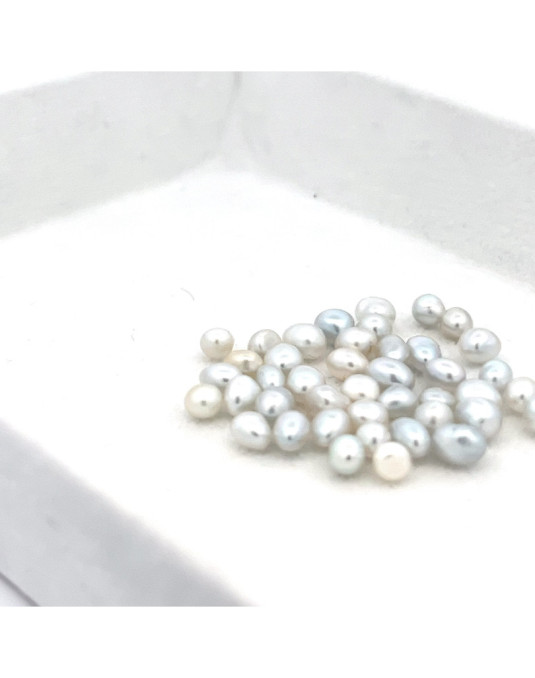 3mm+ gem  grade South Sea pearl, Australia