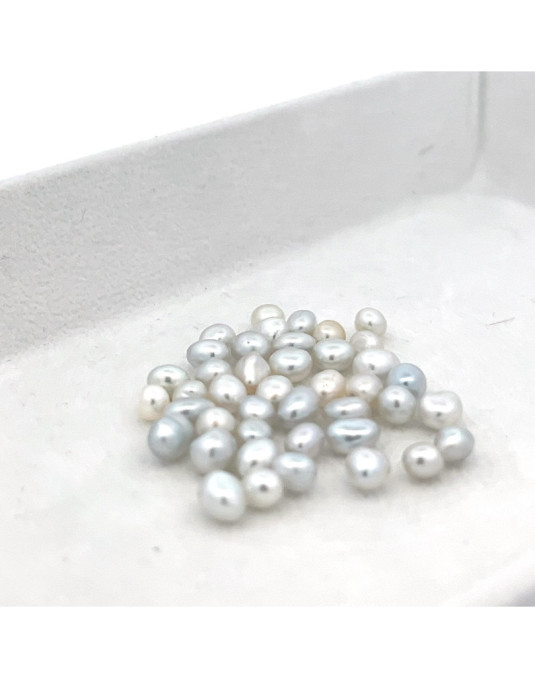 3mm+ gem  grade South Sea pearl, Australia