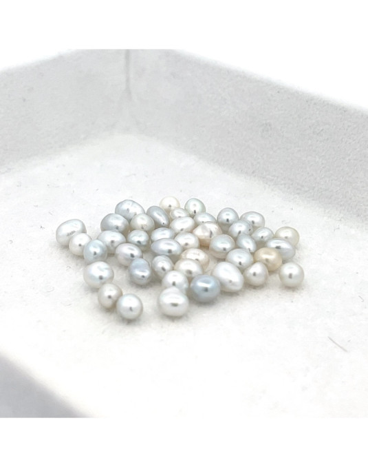 3mm+ gem  grade South Sea pearl, Australia