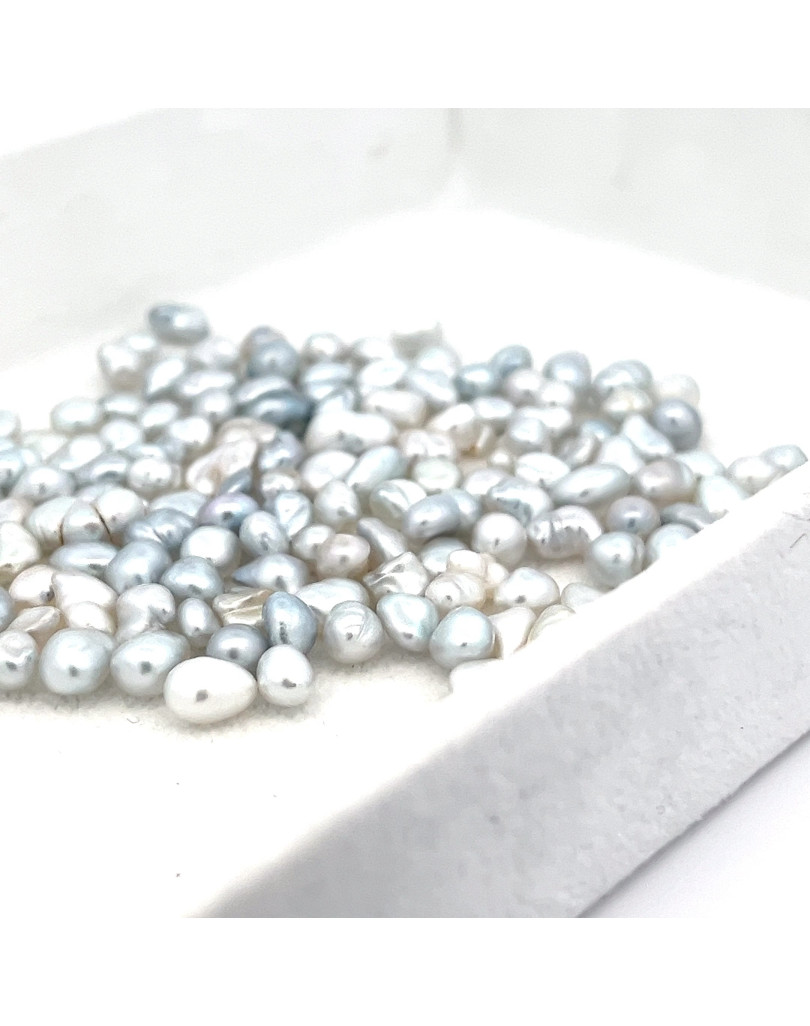 4-4.99mm South Sea pearl , origin Australia , fine  grade