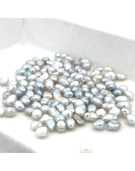 4-4.99mm South Sea pearl , origin Australia , fine  grade