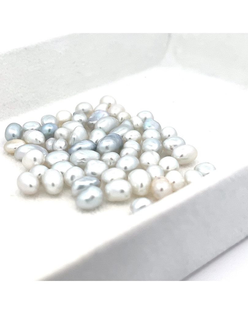 5-5.99mm South Sea pearl , origin Australia , gem  grade