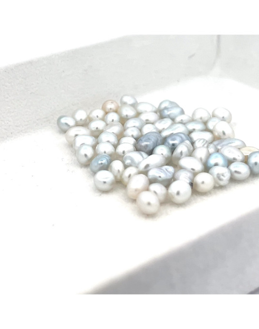 3mm+ gem  grade South Sea pearl, Australia