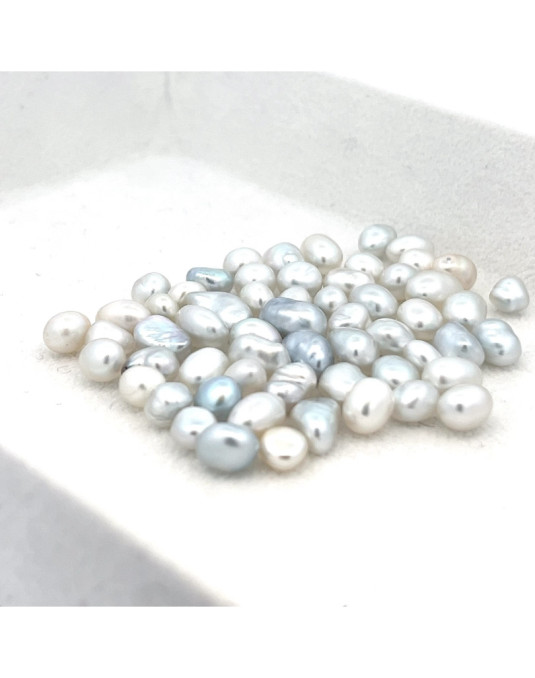 5-5.99mm South Sea pearl , origin Australia , gem  grade