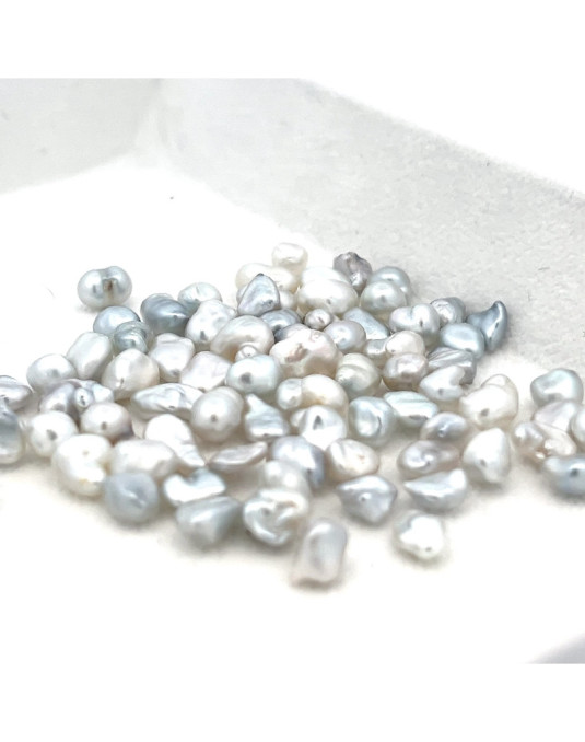 5-5.99mm South Sea pearl , origin Australia , fine  grade