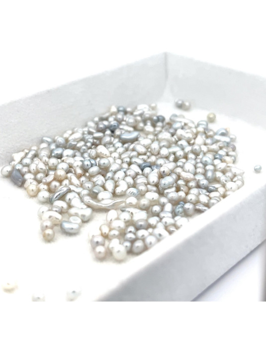 2-3.99mm South Sea pearl , origin Australia , jewel  grade