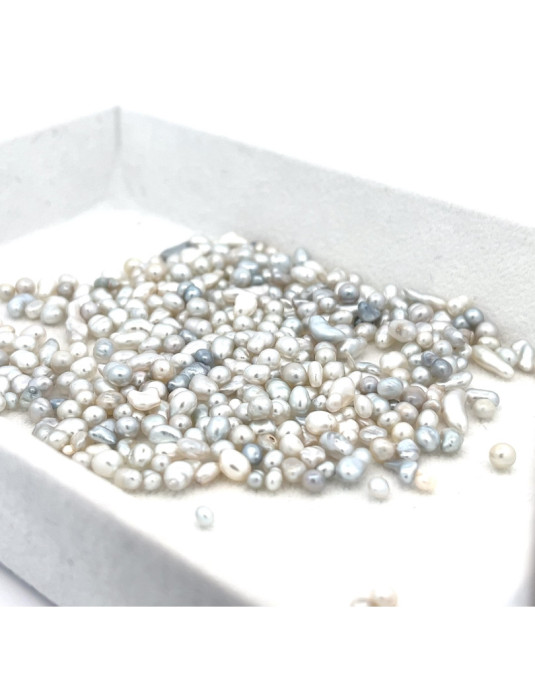 2-3.99mm South Sea pearl , origin Australia , jewel  grade