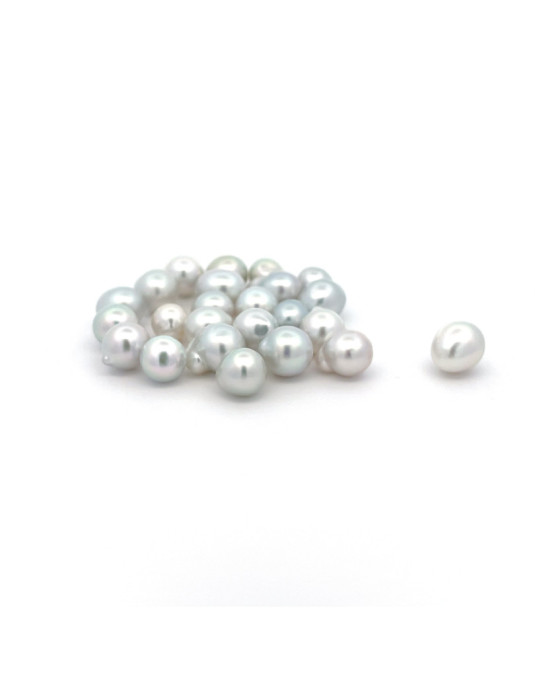 6mm+ fine  grade South Sea pearl, Indonesia
