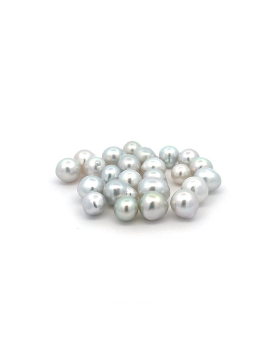 6mm+ fine  grade South Sea pearl, Indonesia