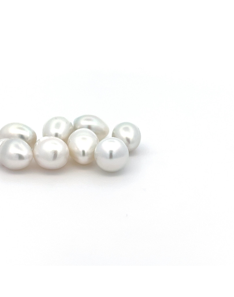 9mm+ gem  grade South Sea pearl, Indonesia