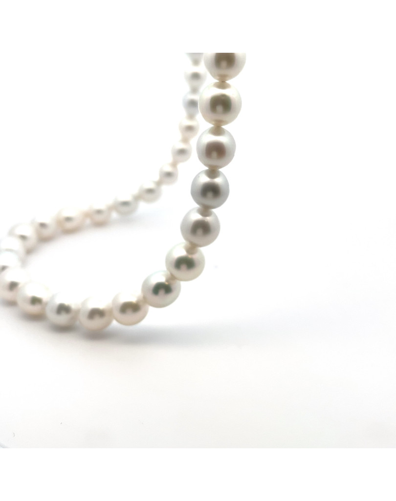 9mm+ fine  grade South Sea pearl, Indonesia