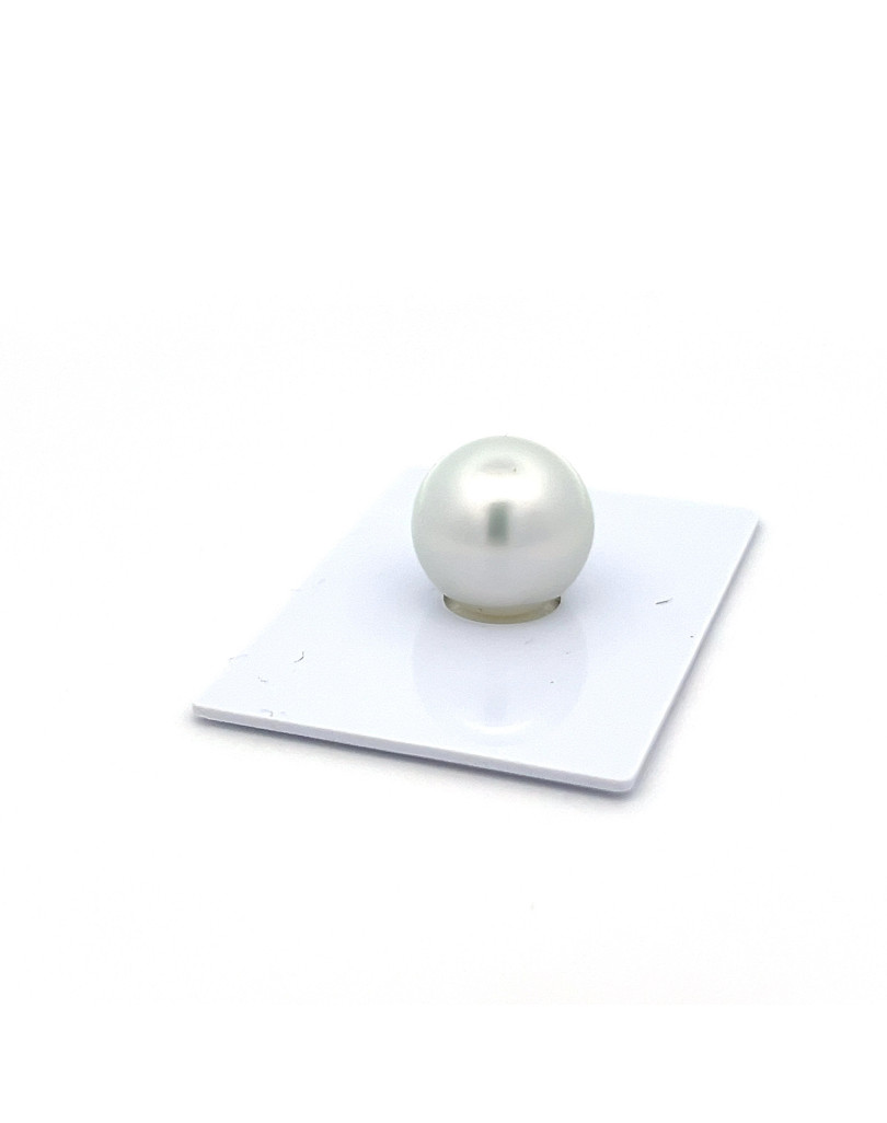15mm+ fine  grade South Sea pearl, Indonesia