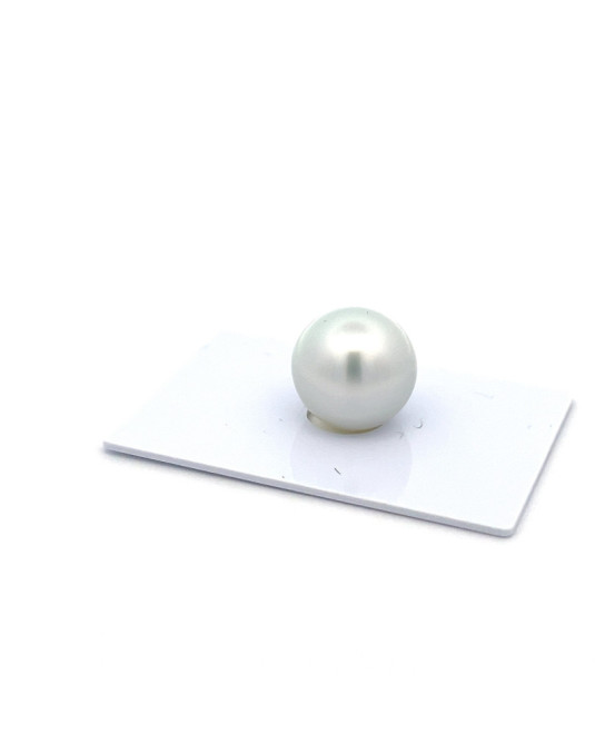 15.2*15.47mm South Sea pearl , origin Indonesia , fine  grade