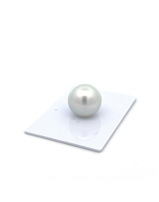 15.2*15.47mm South Sea pearl , origin Indonesia , fine  grade