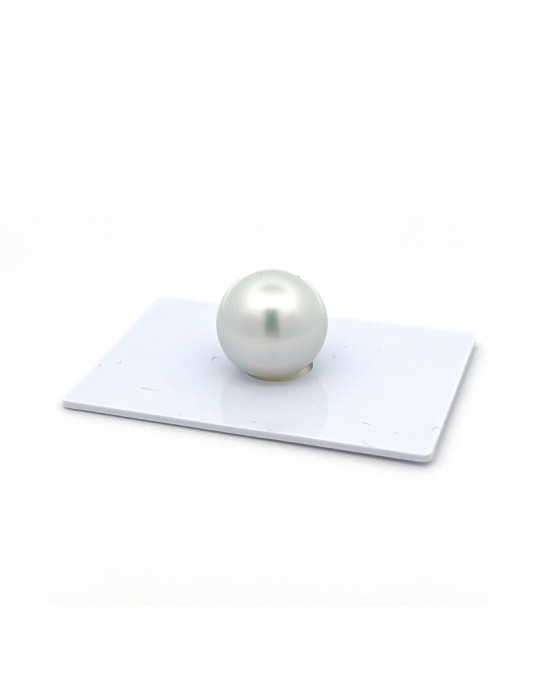 15mm+ fine  grade South Sea pearl, Indonesia