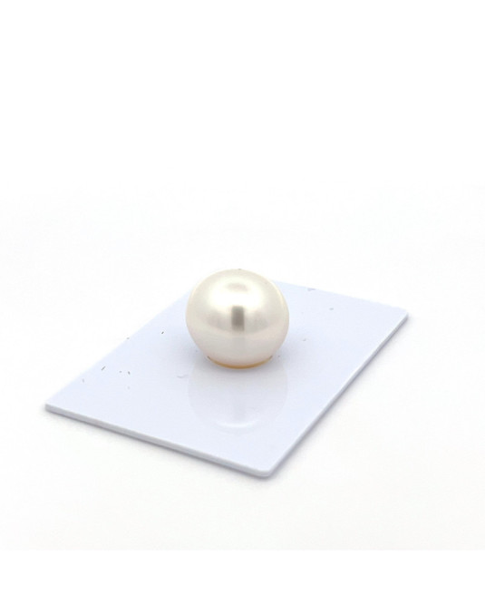 12mm+ gem  grade South Sea pearl, Indonesia