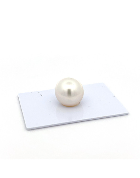 14.46*14.54*15.4mm South Sea pearl , origin Indonesia , gem  grade