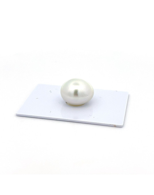 15mm+ gem  grade South Sea pearl, Indonesia