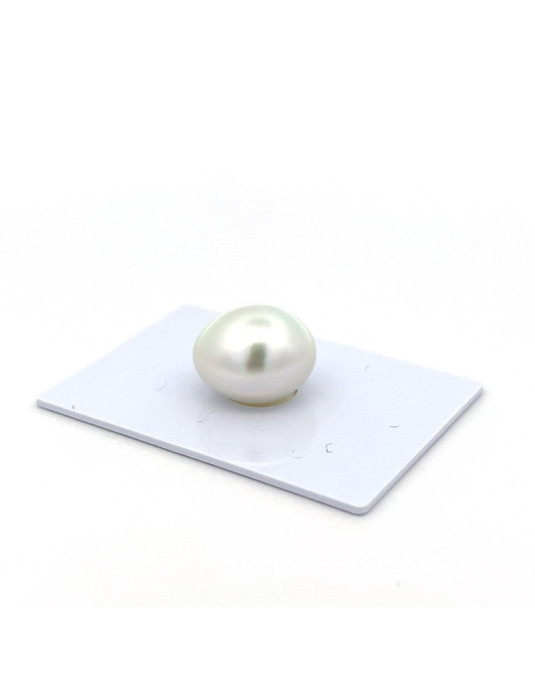 15mm+ gem  grade South Sea pearl, Indonesia