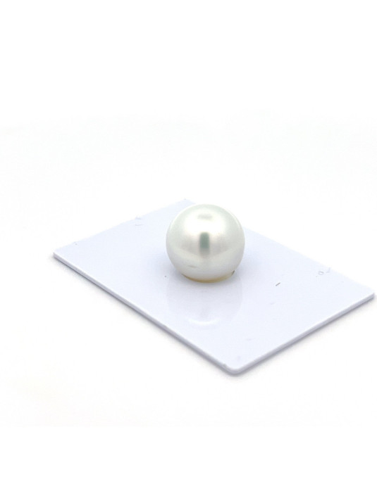 12mm+ fine  grade South Sea pearl, Indonesia