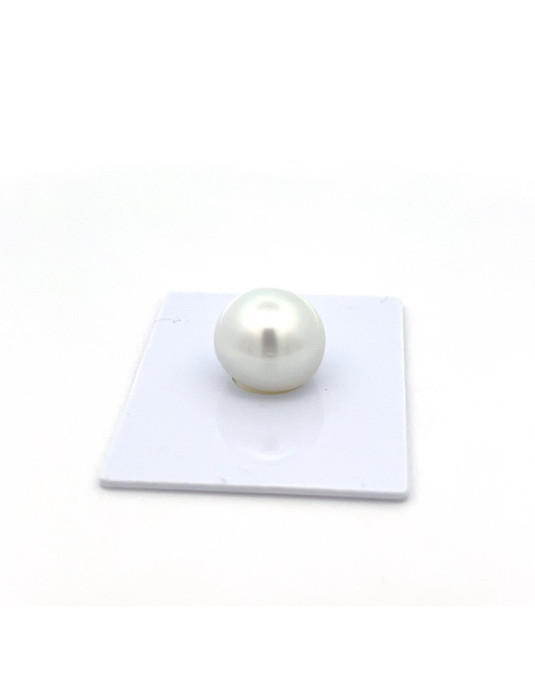 12mm+ fine  grade South Sea pearl, Indonesia