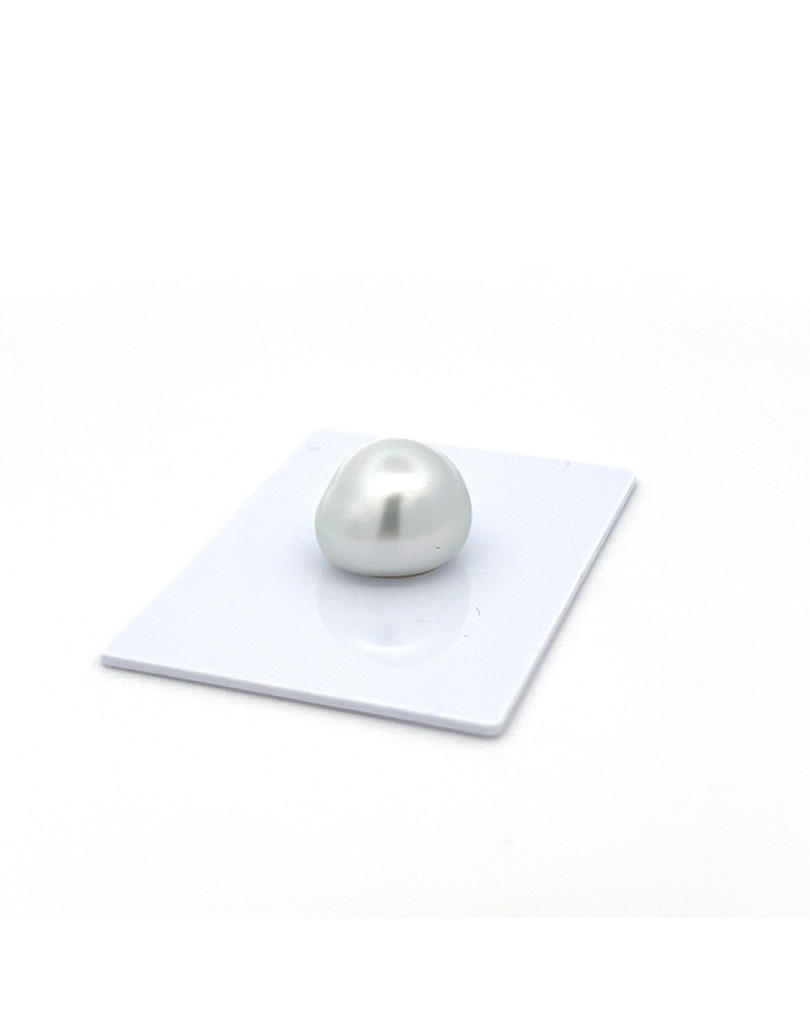 12mm+ gem  grade South Sea pearl, Indonesia