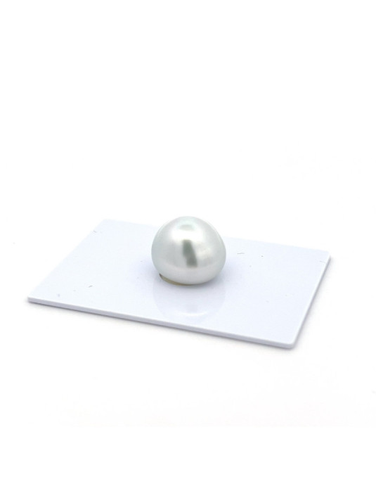 12mm+ gem  grade South Sea pearl, Indonesia