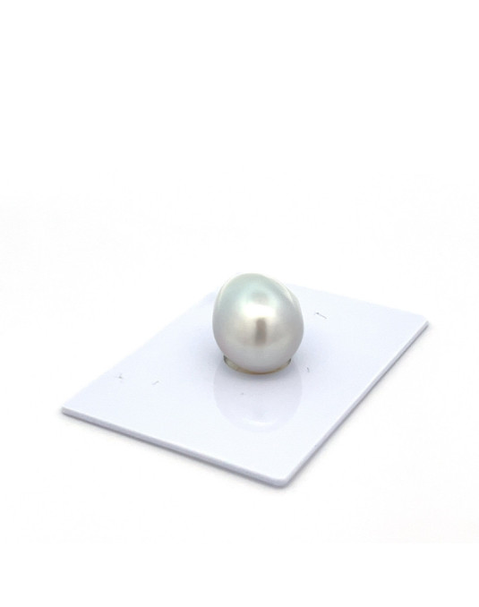 12mm+ gem  grade South Sea pearl, Indonesia