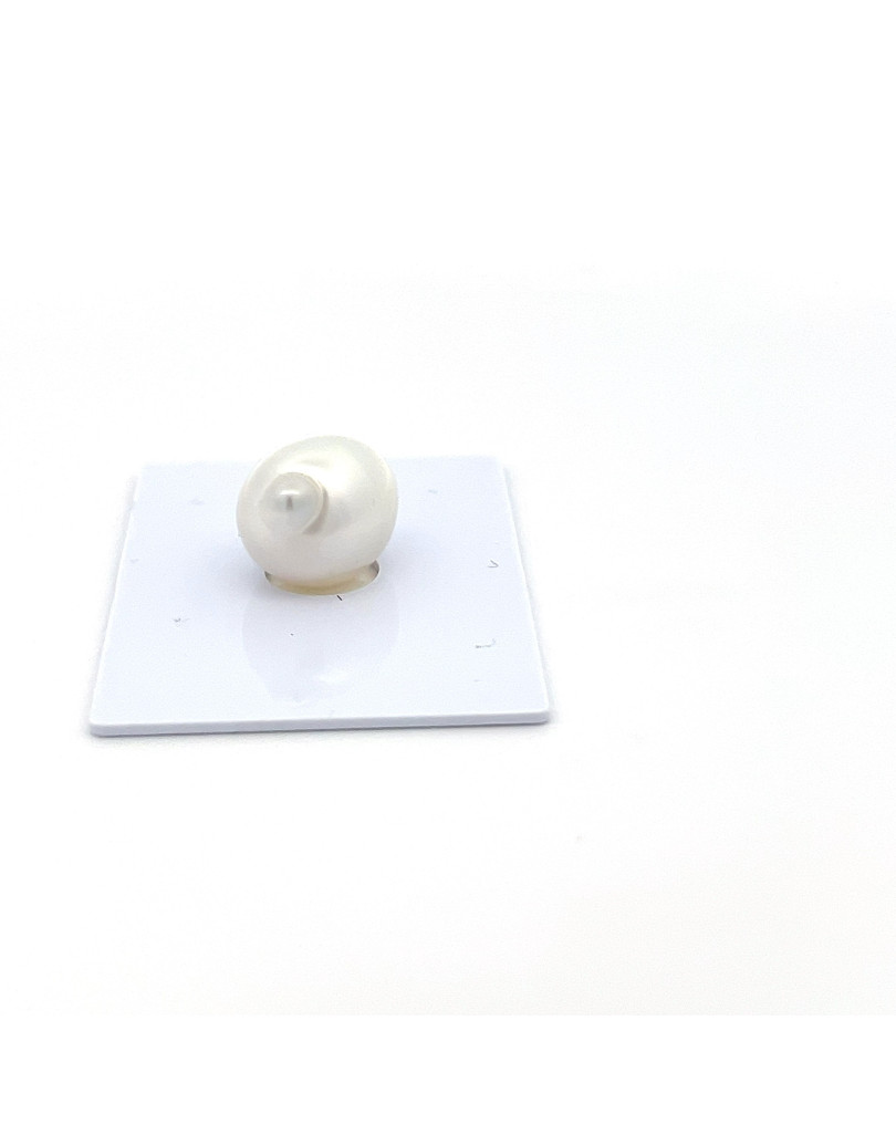 12mm+ gem  grade South Sea pearl, Indonesia