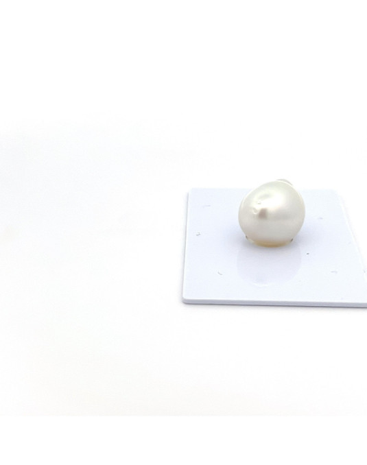 12mm+ gem  grade South Sea pearl, Indonesia