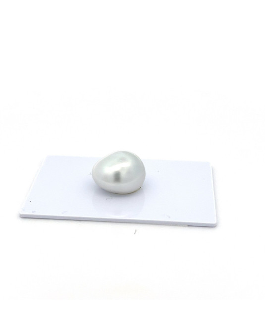 12mm+ fine  grade South Sea pearl, Indonesia