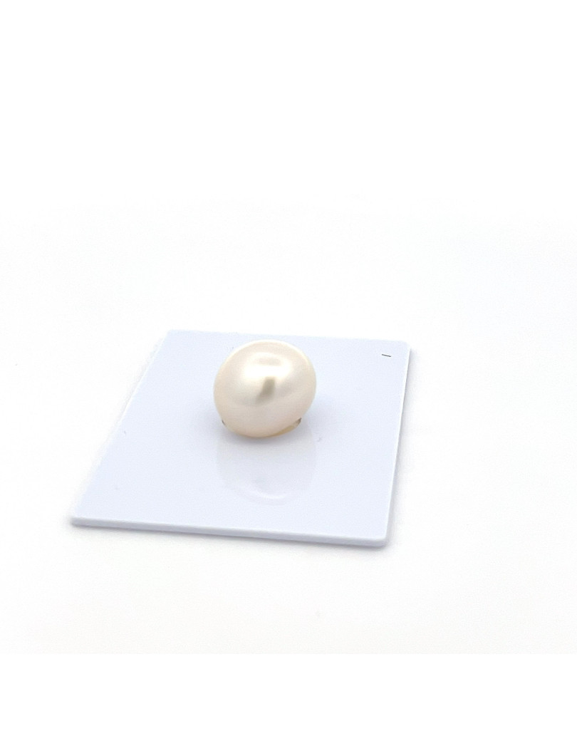 12mm+ jewel  grade South Sea pearl, Indonesia