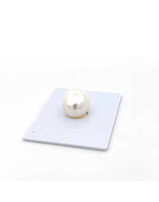 12mm+ jewel  grade South Sea pearl, Indonesia