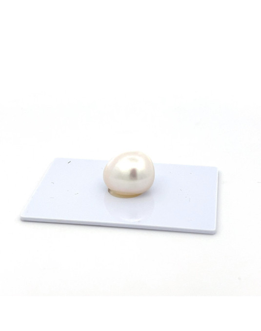 12mm+ jewel  grade South Sea pearl, Indonesia