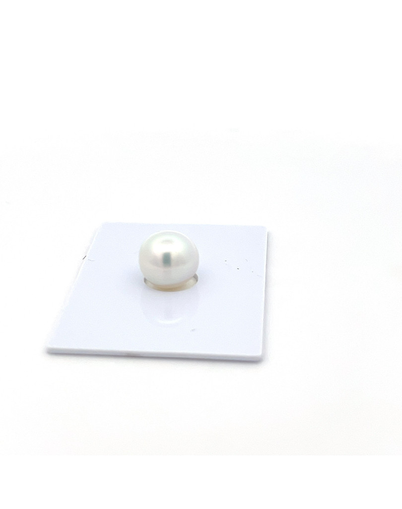 9mm+ gem  grade South Sea pearl, Indonesia
