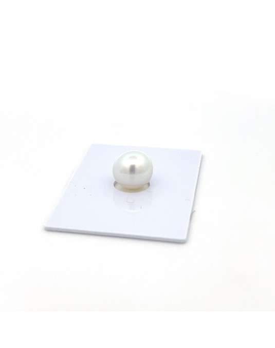 9mm+ gem  grade South Sea pearl, Indonesia