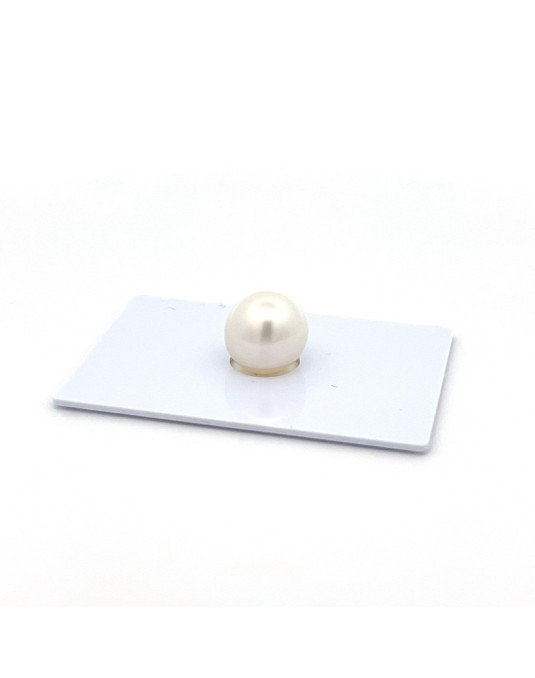 9mm+ jewel  grade South Sea pearl, Indonesia