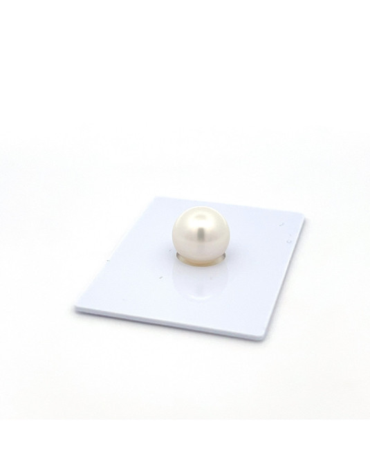 9mm+ jewel  grade South Sea pearl, Indonesia