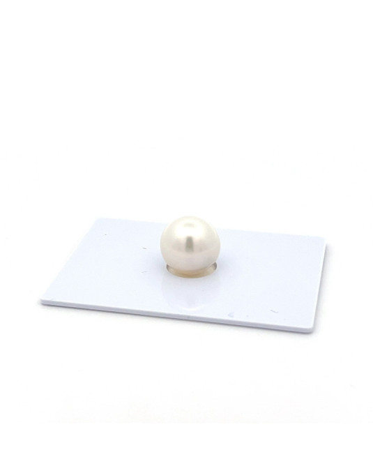 11.54*11.97mm South Sea pearl , origin Indonesia , jewel  grade