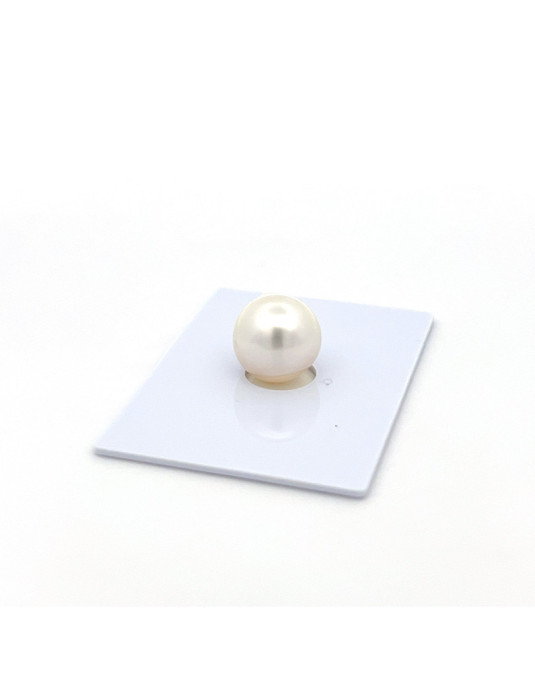 12mm+ jewel  grade South Sea pearl, Indonesia