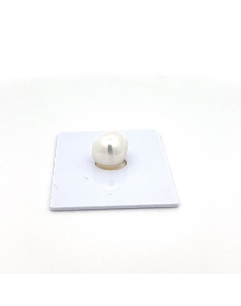 9mm+ gem  grade South Sea pearl, Indonesia