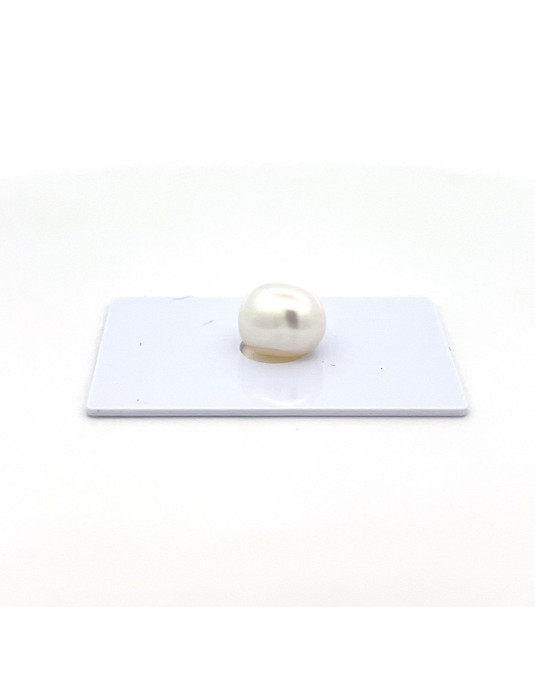 10.59*11.09*12.67mm South Sea pearl , origin Indonesia , gem  grade