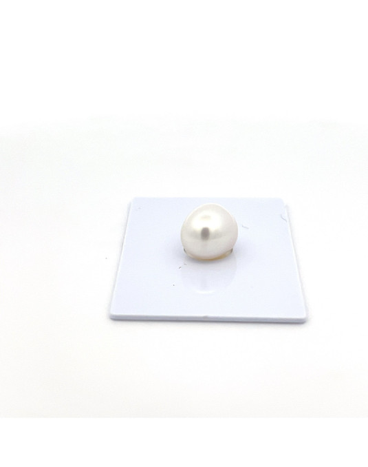 9mm+ gem  grade South Sea pearl, Indonesia
