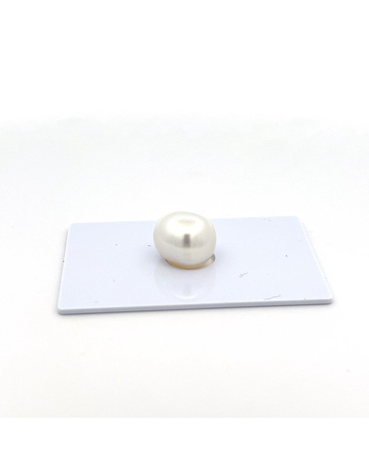 10.59*11.09*12.67mm South Sea pearl , origin Indonesia , gem  grade